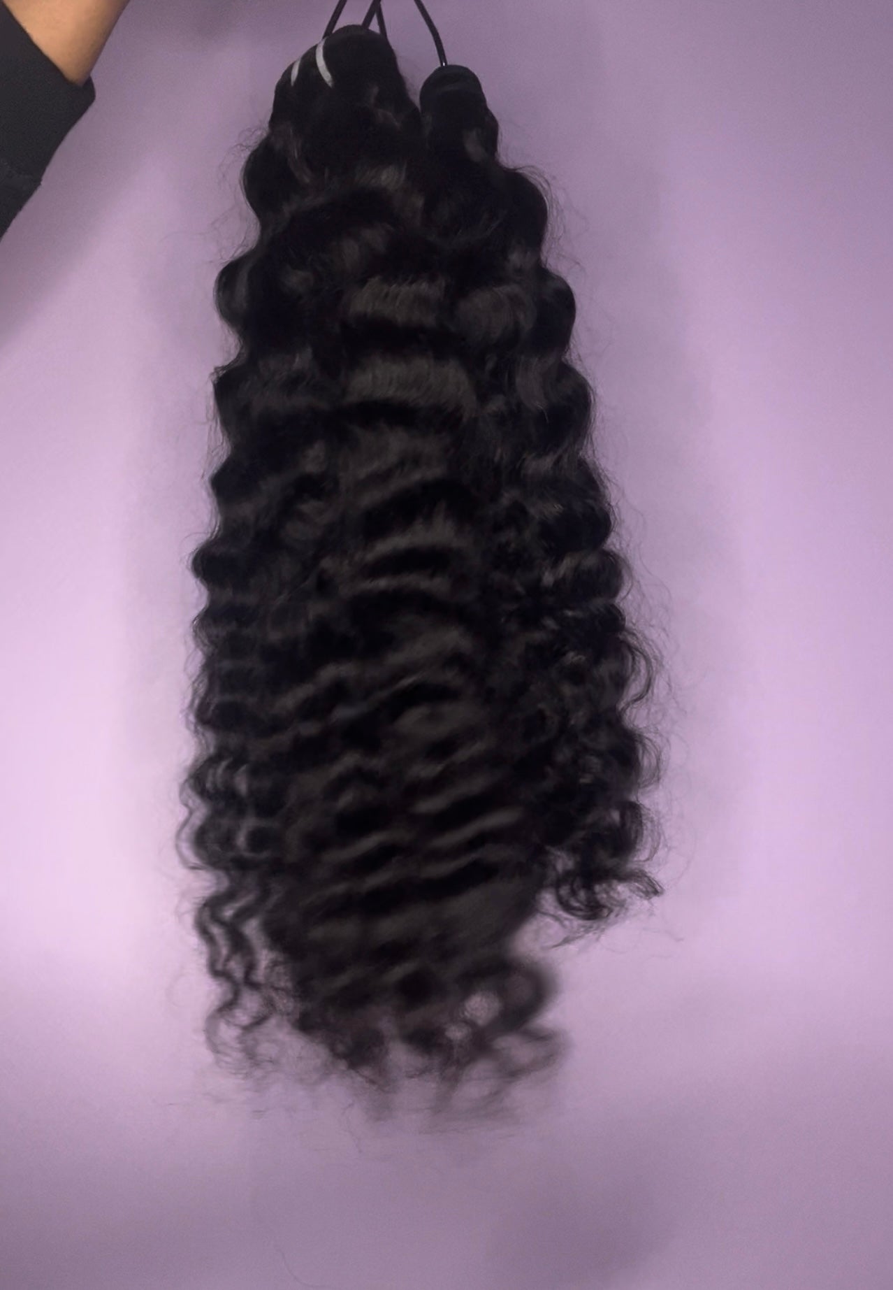 Burmese Curly Sale